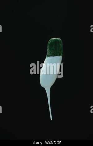 Concombre vert des gouttes de peinture blanche sur fond noir blackground. Banque D'Images