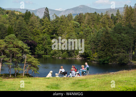 Une famille ayant un pique-nique à Tarn Howes, Lake District, UK. Banque D'Images