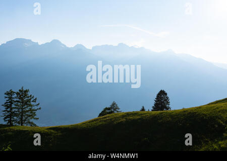 Les silhouettes bleu des Alpes en arrière-plan une colline et des arbres dans l'avant - Vue panoramique Banque D'Images