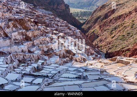 L'étonnant salines de Maras, Vallée Sacrée, Pérou Banque D'Images