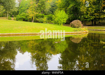Paysage de forêt, magnifique lac en forêt dans le parc national de dendrologie Sofiyivka à Ouman, en Ukraine, les arbres se reflètent dans l'eau. Le printemps, l'été Banque D'Images