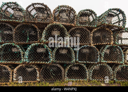 Des cages pour la pêche du homard et du crabe, Dingle, Irlande Banque D'Images