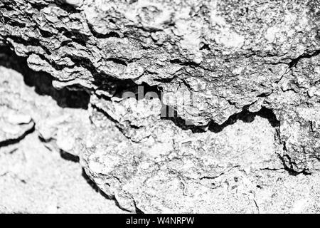 Noir et blanc résumé. Libre d'une falaise de pierre dans la mer sur la côte nord de la mer Noire. Inspirations d'été. Peu de profondeur de foyer. Banque D'Images