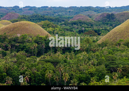 Les karsts calcaire de forme conique et paysage unique de Bohol's 'Chocolate Hills' aux Philippines Banque D'Images