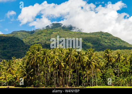 Nuages sur les pentes du volcan Mont Mambajao sur l'île de Camiguin aux Philippines Banque D'Images