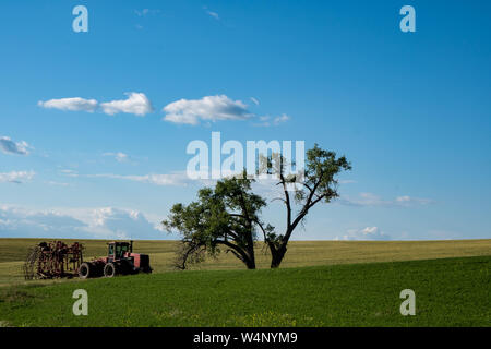 Matériel agricole et tracteur abandonné dans un champ près d'un grand arbre dans la région de la Palouse Washington State Banque D'Images