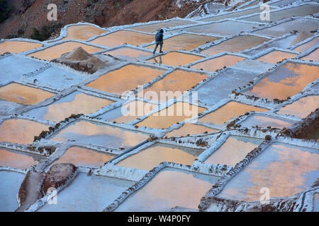 Coucher de réflexions sur les salines de Maras, Vallée Sacrée, Pérou Banque D'Images