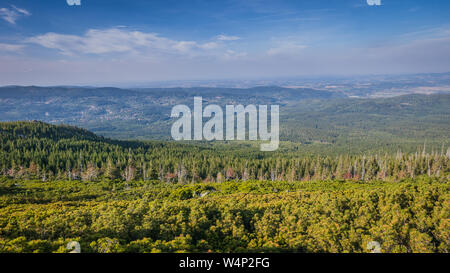 Vue paisible sur la forêt de montagne, Pologne Banque D'Images