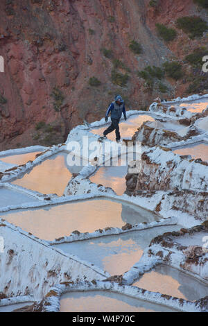 Ouvrier au salines de Maras au coucher du soleil, la Vallée Sacrée, Pérou Banque D'Images