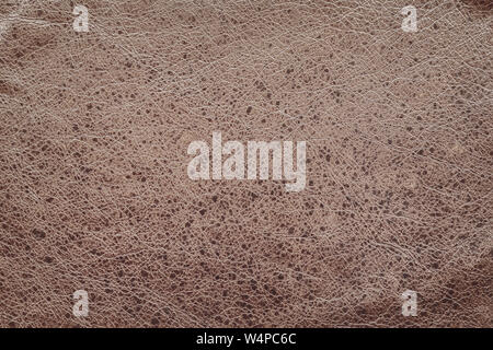 La texture de cuir véritable, repéré, peint, avec ride, crease, couleur marron, fond, surface. Banque D'Images