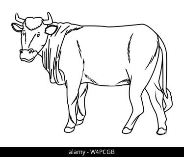 Animaux vache weda isolés cartoon en noir et blanc Illustration de Vecteur