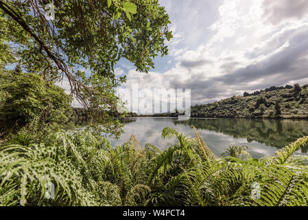 Vue de jour du lac bordé de fougères en Nouvelle Zélande Banque D'Images