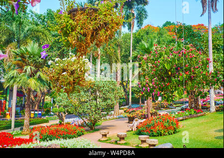 Explorer collection de fleurs vivaces dans le jardin Mae Fah Luang, il dispose d'ampelous les plantes et fleurs de la salvia, pansy, géranium, bégonia, petuni Banque D'Images