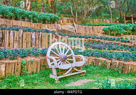 Le petit banc en bois décoratif de roue de chariot sur le Doi Chang Moob versant de montagne, terrasse couverte de fleurs de Mae Fah Luang Arboretum, Th Banque D'Images