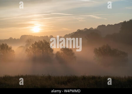 Le brouillard au lever du soleil à Pewsey Vale, Wiltshire, UK Banque D'Images