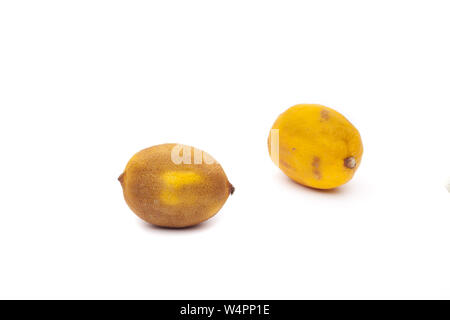 Citron pourri isolé sur fond blanc Banque D'Images