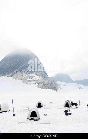 Niches à chien avec montagne sur Norris, Glacier, Alaska. Banque D'Images
