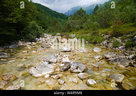Vedronza creek en été : un petit ruisseau qui coule à travers les Alpes dans une réserve naturelle Banque D'Images