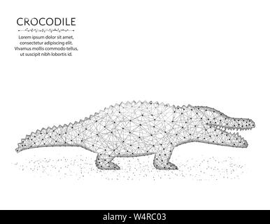 Basse design poly Crocodile, animal africain wireframe polygonale vector illustration faite à partir des points et des lignes sur un fond blanc Illustration de Vecteur