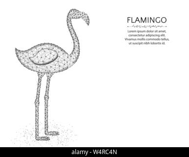 Flamingo, conception poly faible animal d'Afrique, d'oiseau graphiques abstraits wireframe polygonale vector illustration faite à partir des points et des lignes sur un white background Illustration de Vecteur