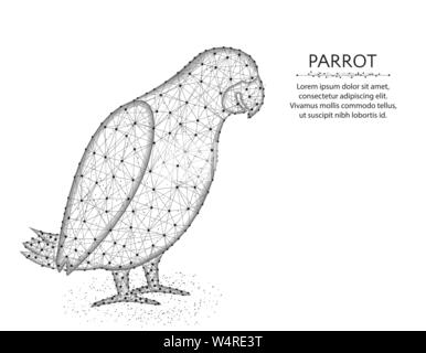 Perroquet Jaco low poly, conception graphique, abstrait animaux africains polygonal oiseaux wireframe vector illustration fait à partir de points et de lignes sur un blanc retour Illustration de Vecteur