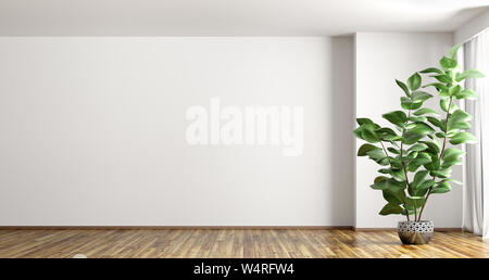 Fond d'intérieur vide, chambre avec mur blanc, vase avec plant et fenêtre de rendu 3D Banque D'Images