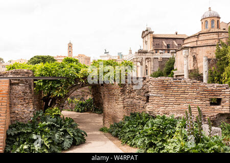 ROME, ITALIE - 28 juin 2019 : des édifices anciens, des murs en briques et des plantes vertes à Rome, Italie Banque D'Images