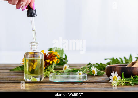 Vue partielle de la femme tenant compte-gouttes près de bouteille avec de l'huile essentielle de camomille, tournesol et fleurs sur fond blanc Banque D'Images