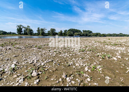 Mariaposching, Allemagne. Le 25 juillet, 2019. Un navire navigue sur le Danube de l'eau faible. En raison de la baisse des niveaux d'eau, de la Wsv s'attend à ce que l'hôtel ne possède pas de navires seront en mesure de naviguer entre Straubing et Vilshofen par la fin de la semaine. La chaleur en Allemagne atteint des niveaux record. Credit : Armin Weigel/dpa/Alamy Live News Banque D'Images