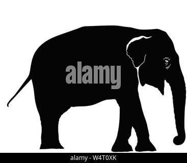 Éléphant noir et blanc silhouette vector illustration Illustration de Vecteur