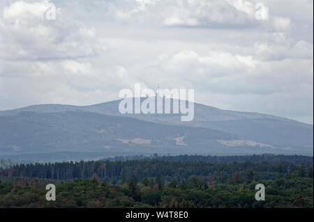 La fauconnerie- Eulenwelt-Falkenhof,Harz,Güntersberge Sachsen-Anhalt, Allemagne. Banque D'Images