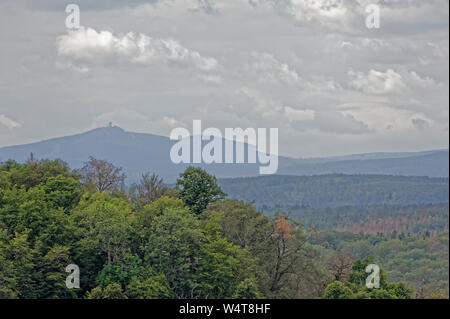 La fauconnerie- Eulenwelt-Falkenhof,Harz,Güntersberge Sachsen-Anhalt, Allemagne. Banque D'Images