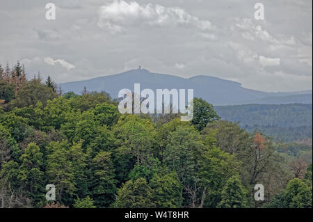 La fauconnerie- Eulenwelt-Falkenhof,Harz,Güntersberge Sachsen-Anhalt, Allemagne. Banque D'Images