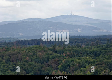 La fauconnerie- Eulenwelt-Falkenhof,Harz,Güntersberge Sachsen-Anhalt, Allemagne. Banque D'Images