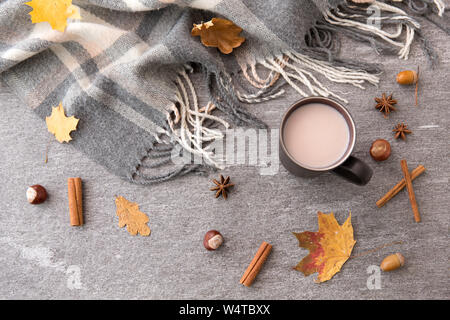 Chocolat chaud, les feuilles d'automne et couverture chaude Banque D'Images