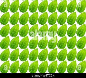 Feuilles vert motif transparent background vector Illustration de Vecteur