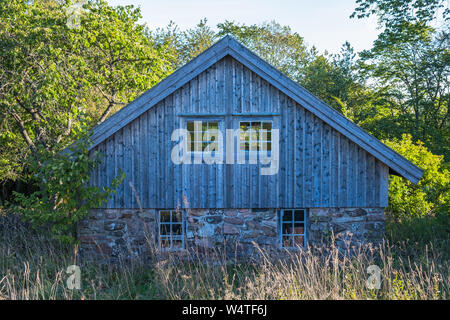 Maison abandonnée dans la forêt avec un jardin luxuriant Banque D'Images