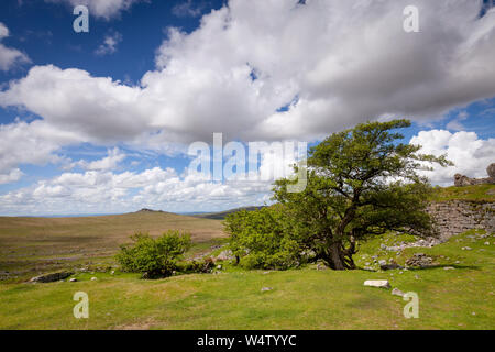 Superbe vue sur des immeubles en ruines à l'ancienne carrière de Foggintor sur Dartmoor National Park, Devon, UK. Journée ensoleillée avec des nuages et un ciel bleu Banque D'Images