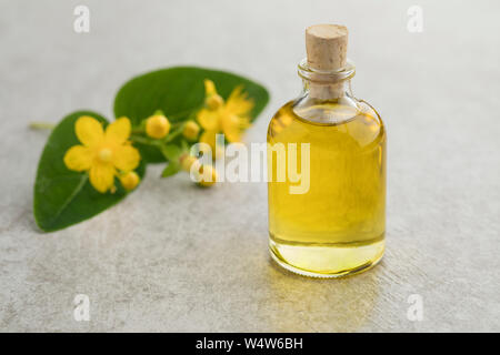 St John's wort fleur et une bouteille de l'huile de fines herbes Banque D'Images