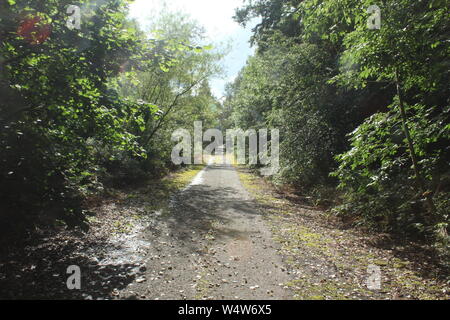 Un long chemin par meadows entouré d'arbres et d'arbustes sur une journée ensoleillée Banque D'Images