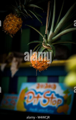 L'ananas frais à la vente à un stand de fruits tropicaux sur l'île d'Hawaï Banque D'Images