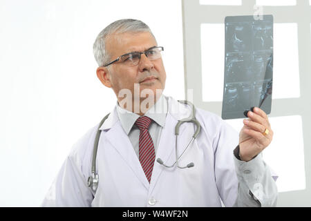 Male doctor examining an x-ray report Stock Photo