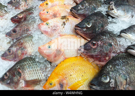 La plate-forme de glace sur le poisson frais au marché. Banque D'Images