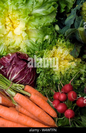 Salade de carottes et radis Banque D'Images