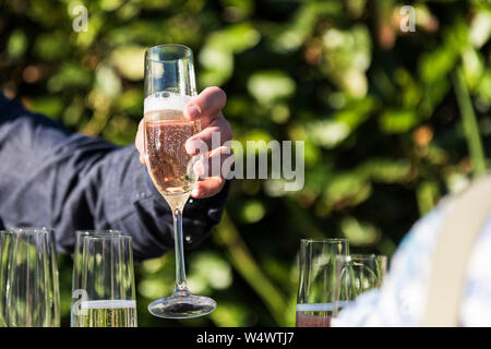 Une main tenant un verre de Prosecco. Banque D'Images