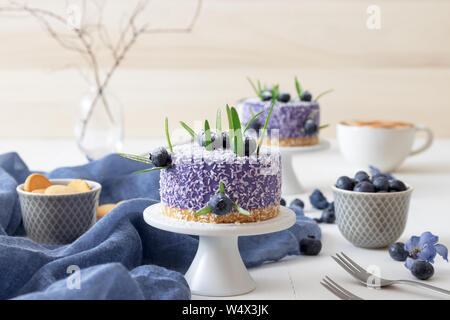 Deux mini cheesecakes aux bleuets sans cuisson enveloppé dans la noix de coco et embelli avec du vrai les bleuets et les feuilles de romarin. Table en bois blanc avec c Banque D'Images