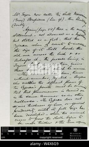 Correspondance - Brown (Alfred) et d'Engelmann (George) (nov 01, 1873 (2)) Banque D'Images