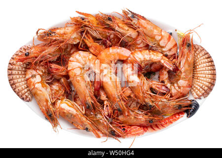 Arrière-plan de fruits de mer. Gros plan du grand frais grillé ou crevettes Crevettes tiger sur une plaque de fruits de mer colorées isolé sur fond blanc. Concept healthy fo Banque D'Images