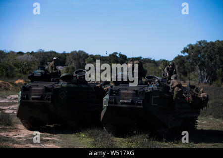 Les véhicules amphibies d'assaut avec l'Équipe de débarquement du bataillon, 2e Bataillon, 1er Marines, 31e Marine Expeditionary Unit, effectuer le contrôle des véhicules de leurs patrouilles dans les valves d'au cours d'entraînement de Shoalwater Bay, Queensland, Australie, le 16 juillet 2019. La 31e MEU et de guêpes groupe amphibie participent actuellement à Talisman Saber 2019 au large de la côte nord de l'Australie. Talisman Sabre est conçu pour améliorer nation partenaire préparation au combat et l'interopérabilité par réalistes, pertinents à la formation, l'amélioration de la capacité et les compétences pour répondre aux crises dans le cadre d'un effort combiné tout en main Banque D'Images