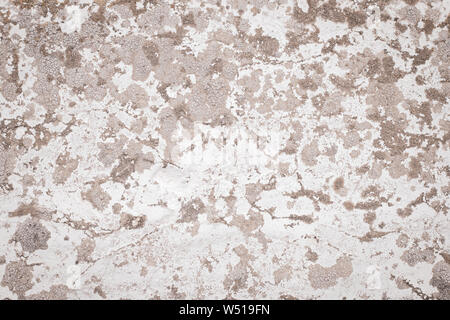 Brun clair et blanc mur de béton. Sale minable surface rugueuse. Vieux stuc. La texture du ciment, abstract grunge background. L'art moderne Forme de fissure wit Banque D'Images